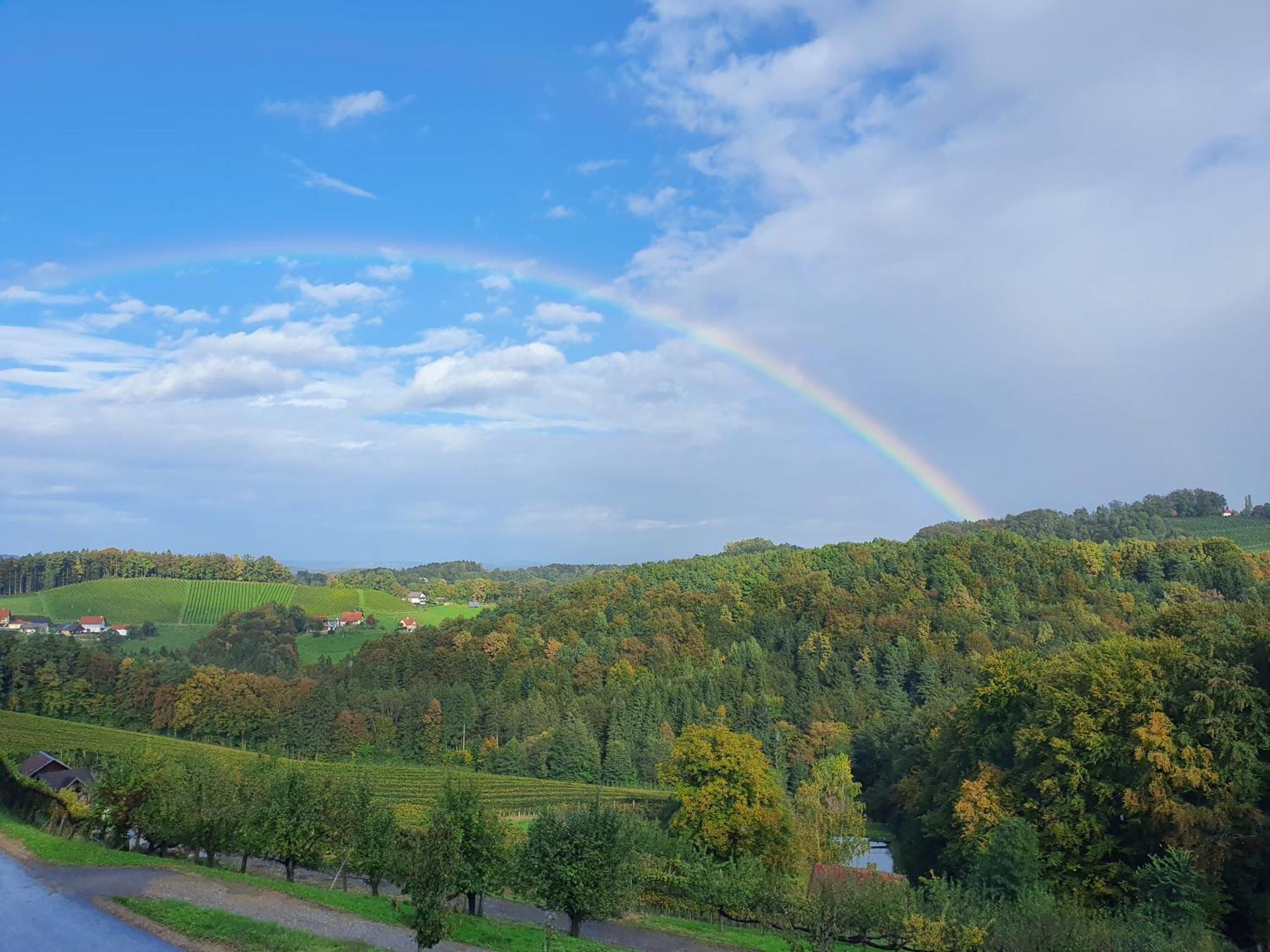 Weingut Pugl Leilighet Leibnitz Eksteriør bilde